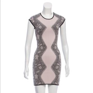 Parker Dresses - PARKER BODYCON BLUSH LACE DRESS Parker Dresses - PARKER BODYCON BLUSH LACE DRESS